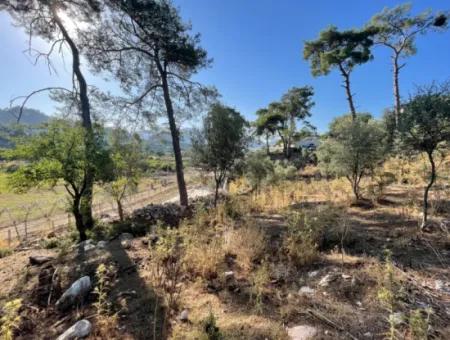 1,320M2 Field For Sale In Çandır Center By The Forest