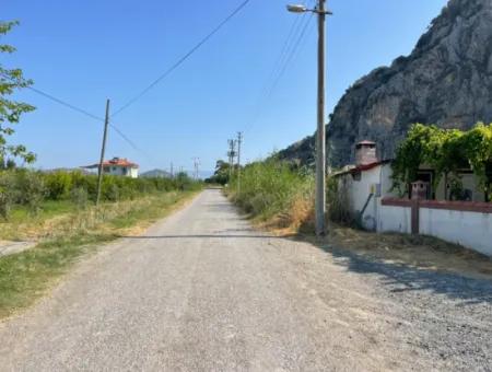 10,000M2 Pomegranate Garden For Sale In Dalyan Arıkbaşı And Gerendüzün