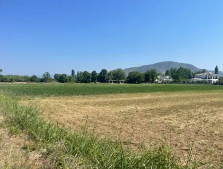 Land For Sale Of 2715M2 In The Built-Up Area Of The Village In Okçular