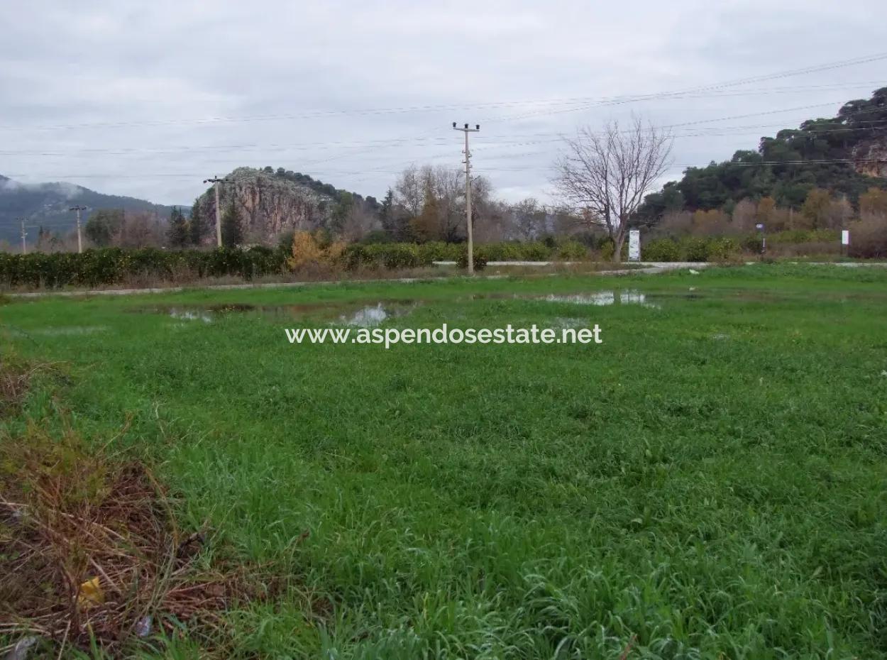 Dalyan Gülpınar Satılık Arsa Dalyan 1,002M2 Satılık Köşenası Satılık Arsa