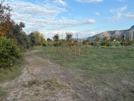 Dalyan Merkeze Yakın 7,450M2 Satılık Arsa