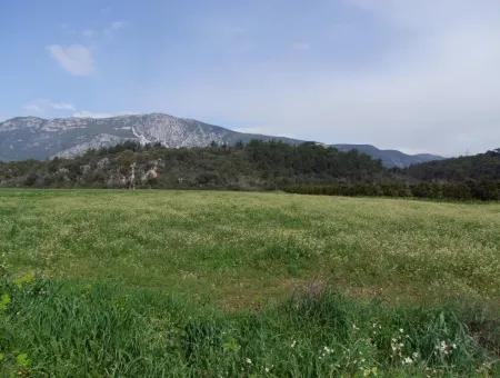 Akyaka Gökçede Satılık Arazi Denize Yakın Çiftlik İçin 21625M2 Satılık Tarla Yatırımlık Satılık Ars