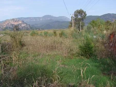 Dalyan Satılık Arsa Dalyan Kanala Sıfır Satılık Arsa