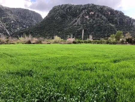 Okçularda Satılık Arsa Marmarlı 1500M2 Satılık Arsa