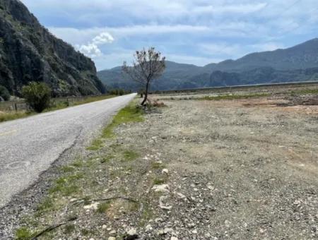 Dalyan İztuzu Plaj Yoluna Sıfır 19,600M2 Satılık Tarla Arazi