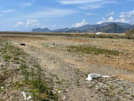 Dalyan İztuzu Plaj Yoluna Sıfır 19,600M2 Satılık Tarla Arazi